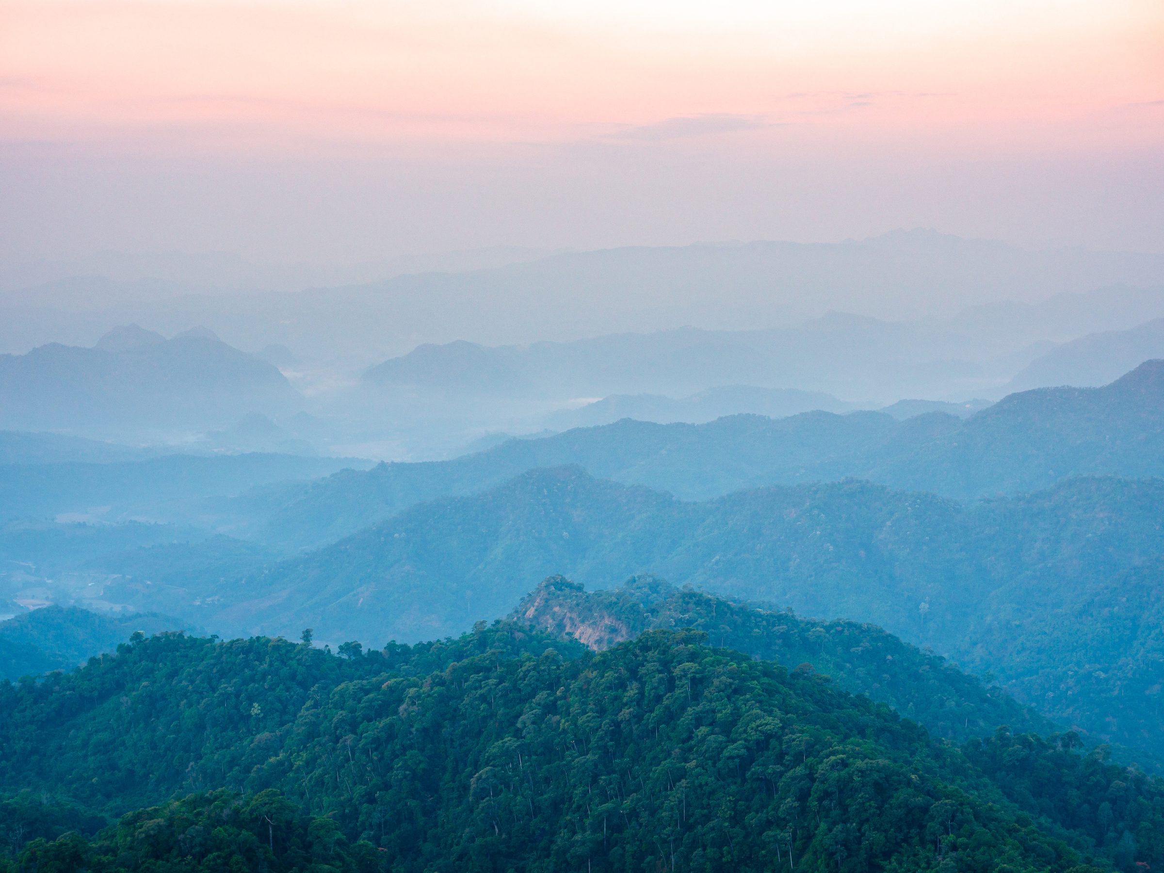Misty forested hills at dawn