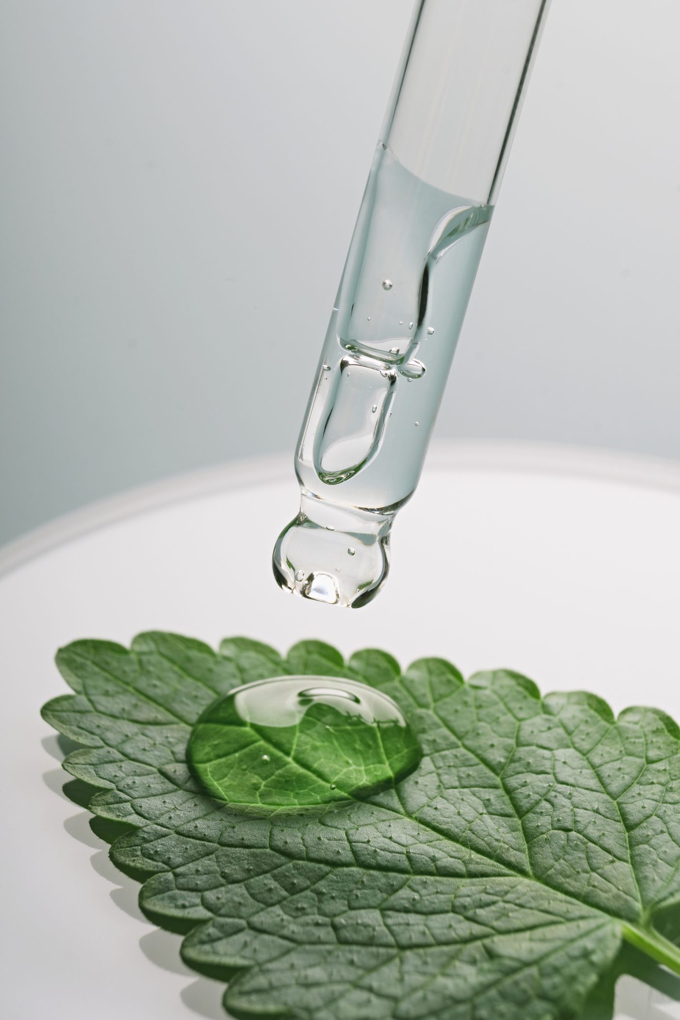A pipette releasing a drop onto a leaf